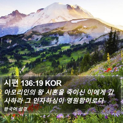 시편 136:19 KOR Bible Verse Image