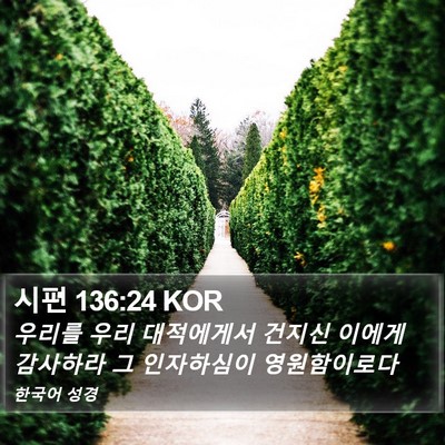 시편 136:24 KOR Bible Verse Image