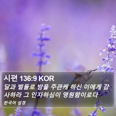 시편 136:9 KOR Bible Verse Image
