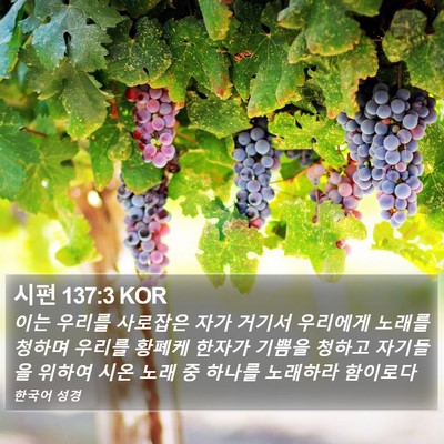 시편 137:3 KOR Bible Verse Image