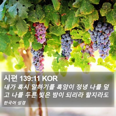 시편 139:11 KOR Bible Verse Image