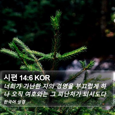 시편 14:6 KOR Bible Verse Image