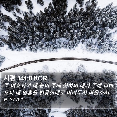 시편 141:8 KOR Bible Verse Image