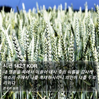 시편 142:7 KOR Bible Verse Image