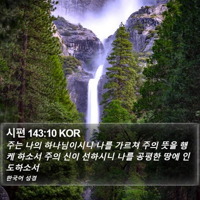 시편 143:10 KOR Bible Verse Image
