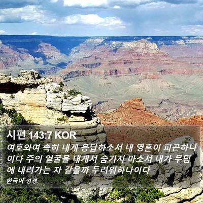 시편 143:7 KOR Bible Verse Image