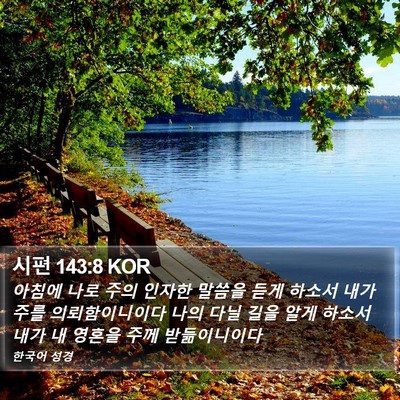 시편 143:8 KOR Bible Verse Image