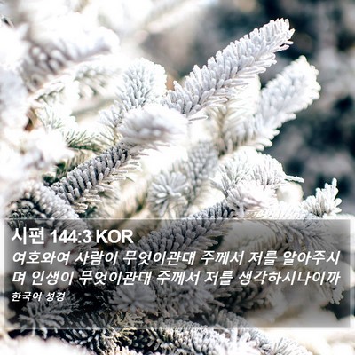 시편 144:3 KOR Bible Verse Image