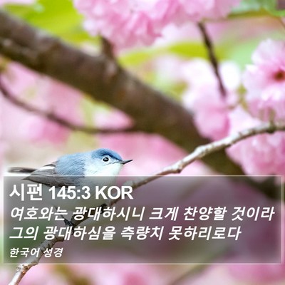 시편 145:3 KOR Bible Verse Image