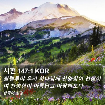 시편 147:1 KOR Bible Verse Image