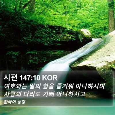 시편 147:10 KOR Bible Verse Image