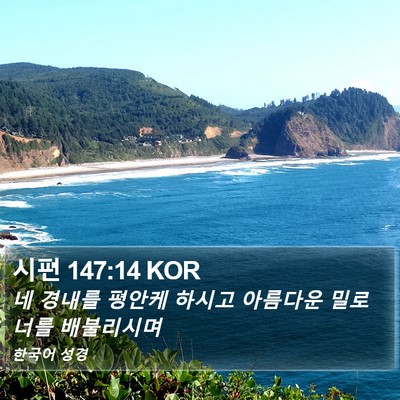 시편 147:14 KOR Bible Verse Image