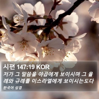 시편 147:19 KOR Bible Verse Image
