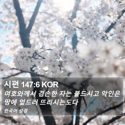 시편 147:6 KOR Bible Verse Image