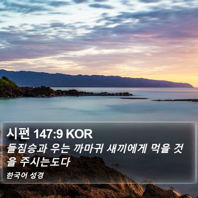 시편 147:9 KOR Bible Verse Image