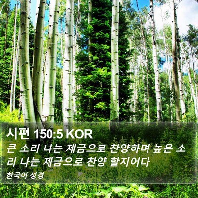 시편 150:5 KOR Bible Verse Image