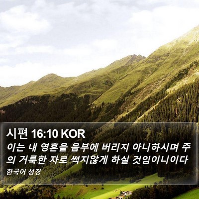 시편 16:10 KOR Bible Verse Image
