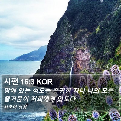 시편 16:3 KOR Bible Verse Image