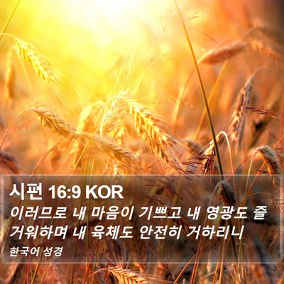 시편 16:9 KOR Bible Verse Image