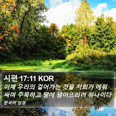 시편 17:11 KOR Bible Verse Image