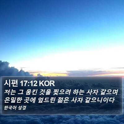 시편 17:12 KOR Bible Verse Image