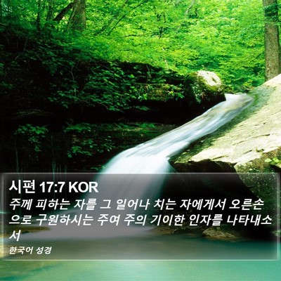 시편 17:7 KOR Bible Verse Image