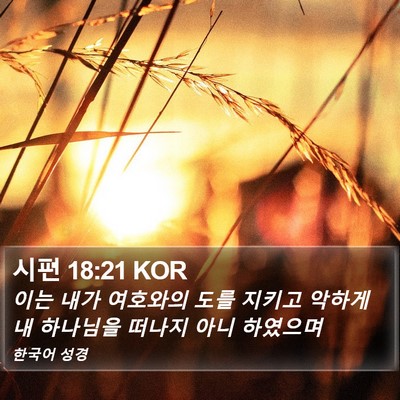 시편 18:21 KOR Bible Verse Image