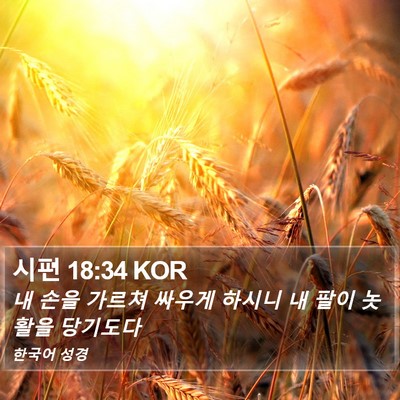 시편 18:34 KOR Bible Verse Image