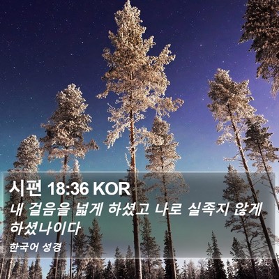 시편 18:36 KOR Bible Verse Image