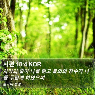 시편 18:4 KOR Bible Verse Image