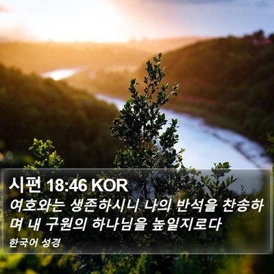 시편 18:46 KOR Bible Verse Image