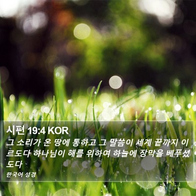 시편 19:4 KOR Bible Verse Image