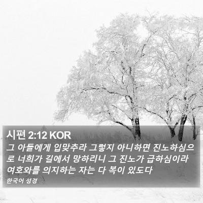 시편 2:12 KOR Bible Verse Image