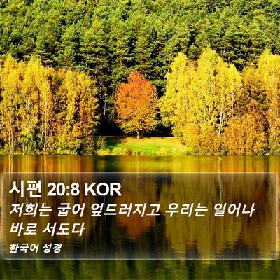 시편 20:8 KOR Bible Verse Image