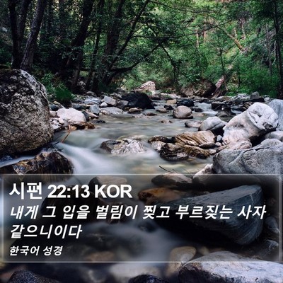 시편 22:13 KOR Bible Verse Image