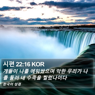 시편 22:16 KOR Bible Verse Image