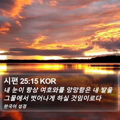 시편 25:15 KOR Bible Verse Image