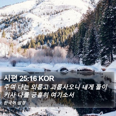 시편 25:16 KOR Bible Verse Image