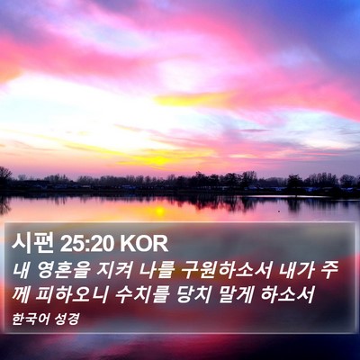 시편 25:20 KOR Bible Verse Image