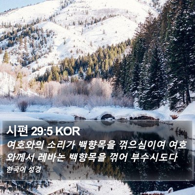 시편 29:5 KOR Bible Verse Image