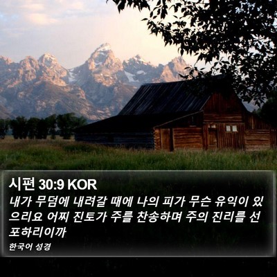 시편 30:9 KOR Bible Verse Image