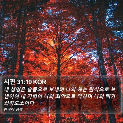 시편 31:10 KOR Bible Verse Image