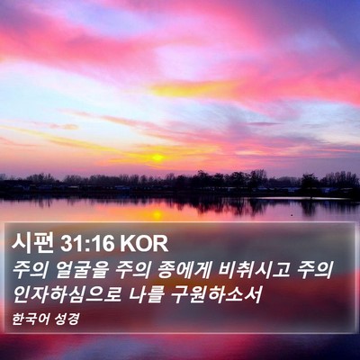 시편 31:16 KOR Bible Verse Image