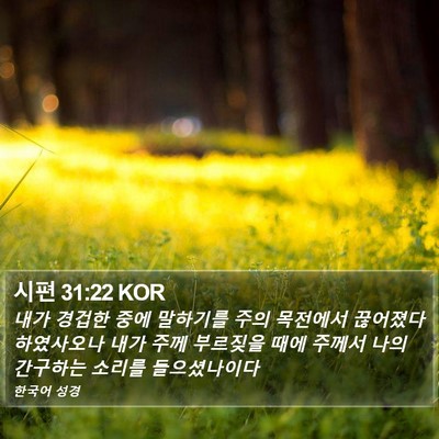 시편 31:22 KOR Bible Verse Image