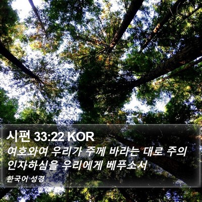 시편 33:22 KOR Bible Verse Image