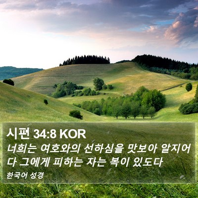 시편 34:8 KOR Bible Verse Image