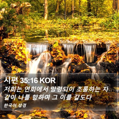 시편 35:16 KOR Bible Verse Image
