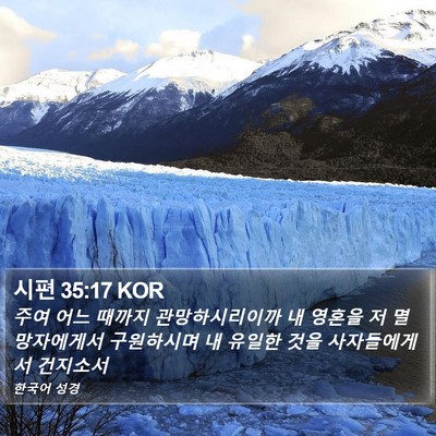 시편 35:17 KOR Bible Verse Image