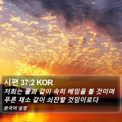 시편 37:2 KOR Bible Verse Image