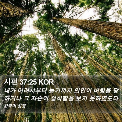 시편 37:25 KOR Bible Verse Image